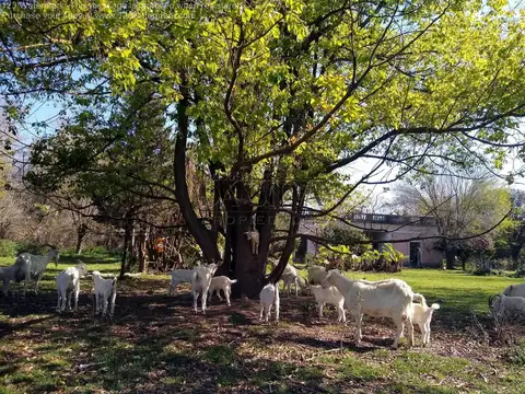 10 Ha. CASCO DE ESTANCIA en M. Paz! Ideal Proyecto TURISTICO
