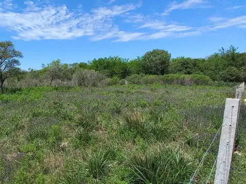 Amplio Lote En Venta!!! Ruta 18 - El Espinillo