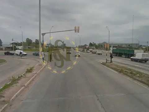 RUTA 102 100