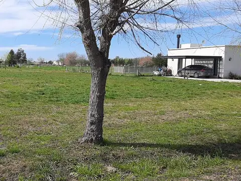Campos de Roca II