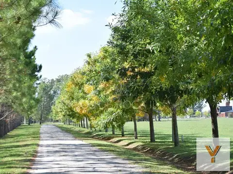 Terreno en Venta de 2104,0 m2