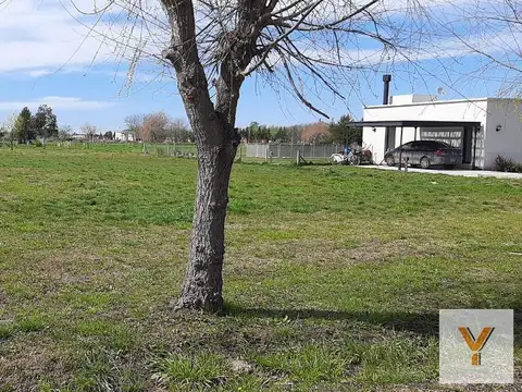Campos de Roca II