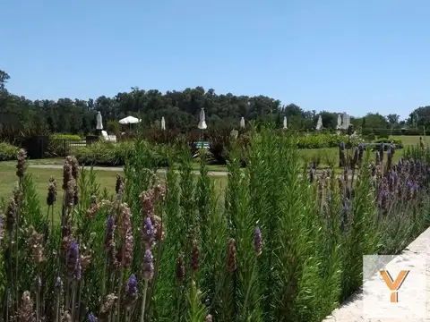Campos de Roca II