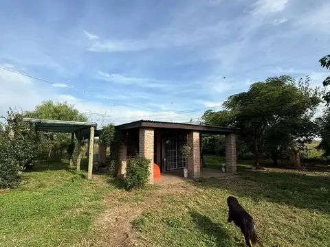 Campo en Venta Agrícola