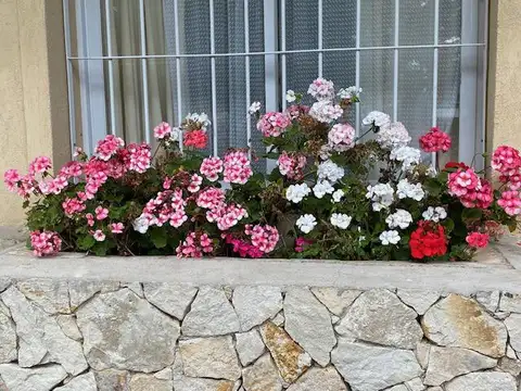 Paseo 116 entre Avenida 3 y 4