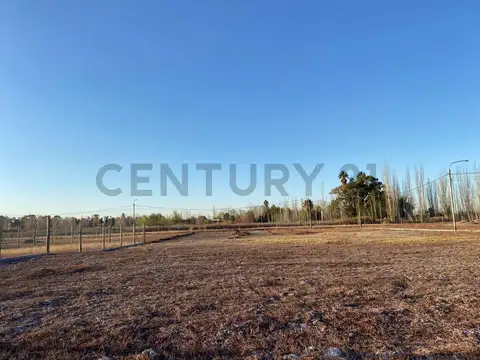 Alfonso XIII , Piso 0