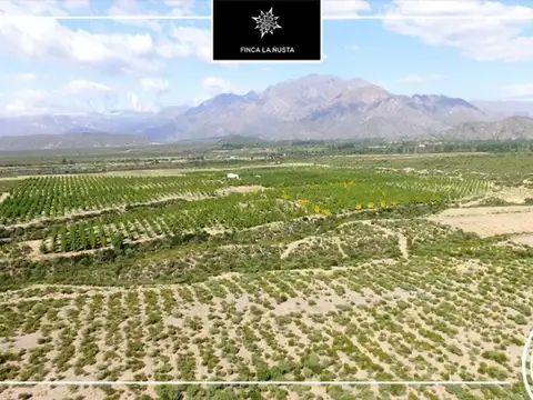 LA RIOJA FINCA 300HAS - APTA VIÑEDOS Y NOGALES