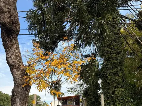 Terreno en Venta en Ciudad De Tigre, USD 210.000