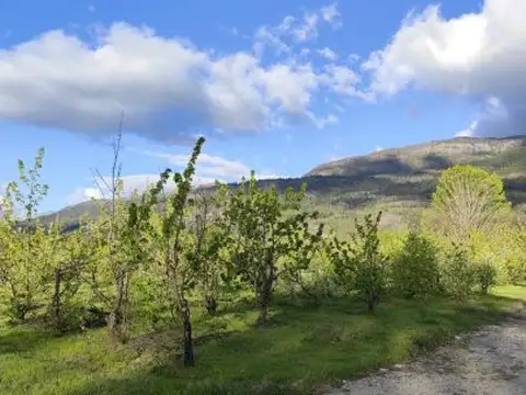 Terreno en Venta 22,50  mts Frente