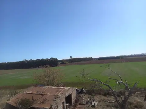 Campo en Venta de 10  ha
