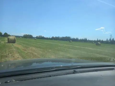 Vendo excelente campo 10 has San Pedro sobre ruta 9  