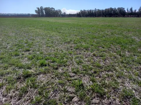 Campo en Venta con Alambrado