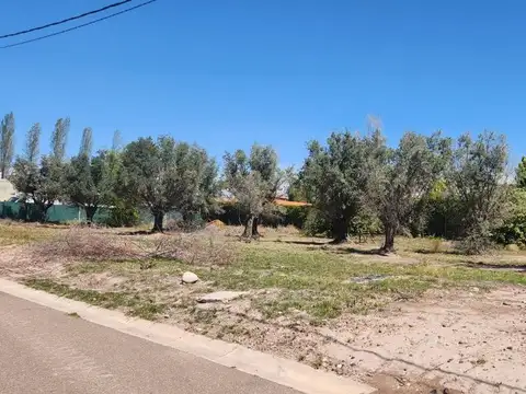 Terreno en Venta en Lujan De Cuyo, USD 40.000