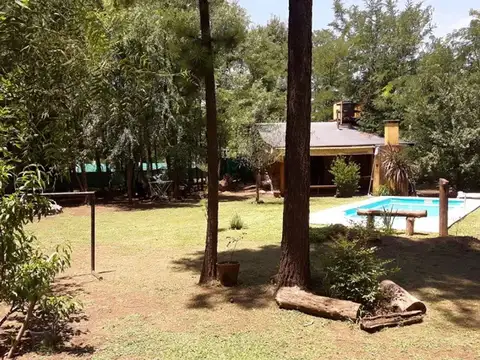 Martín Pescador 100