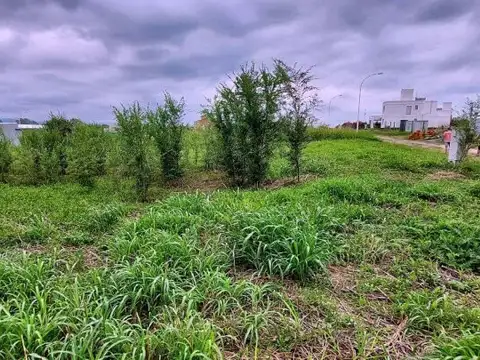 Terreno en Venta de 623,56 m2