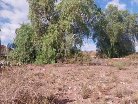 VENTA TERRENO, PERDRIEL- LUJAN DE CUYO