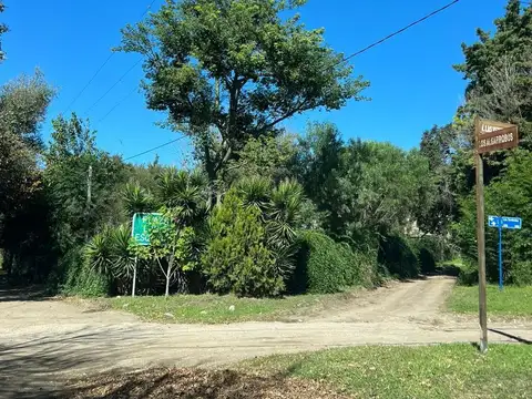 Lote en Agua de Oro