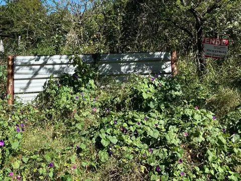 Terreno en venta - Agua De Oro