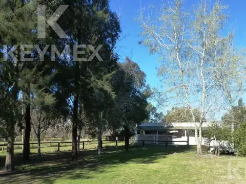Campo en venta de 6 hectáreas en Olmos