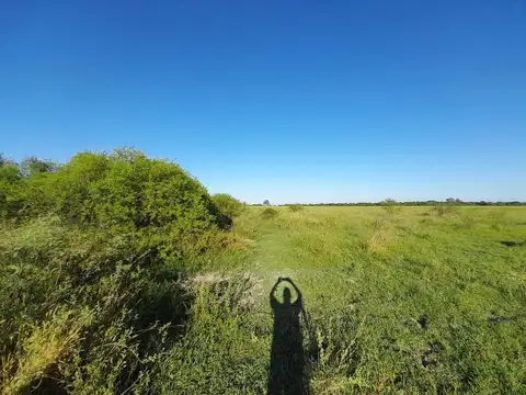Campo en Venta de 48  ha