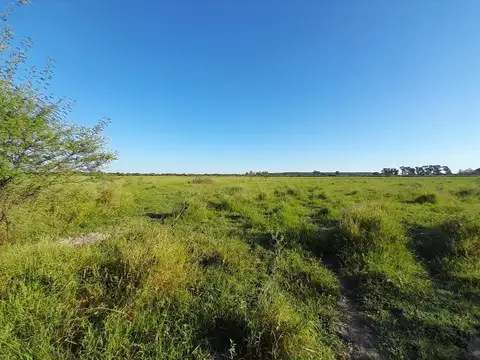 Campo en Venta Haras