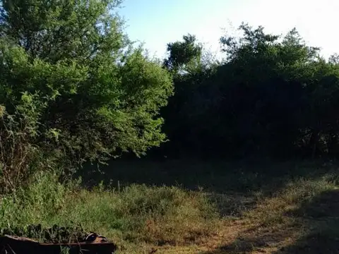 VENDO CAMPO MUY CERCA DE LA CIUDAD DE ESQUINA Y SOBRE RUTA 
