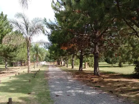 Ruta 47 y Circunvalación 100