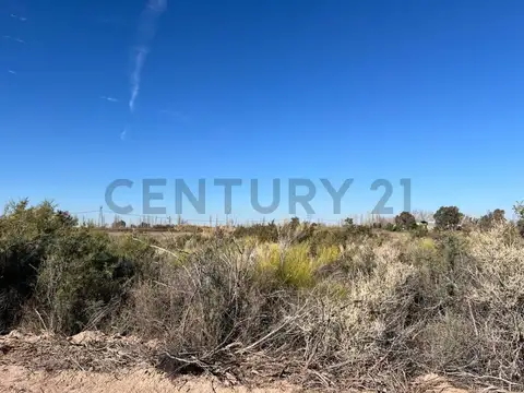 Terreno en Venta de 62000,0 m2