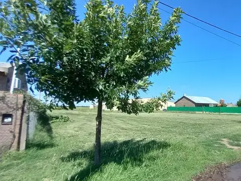 Terreno en Venta de 487,0 m2