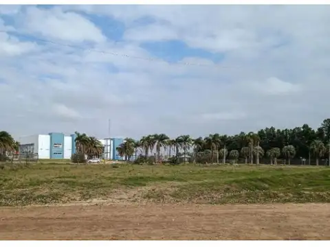 Terreno en Venta 30  mts Fondo