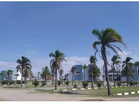 Terreno en Venta 12  mts Frente