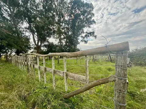 35 Has Agrícolas – Ganaderas en Magdalena