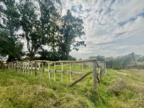 35 Has Agrícolas – Ganaderas en Magdalena