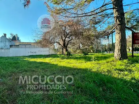 Terreno en Venta de 200,0 m2