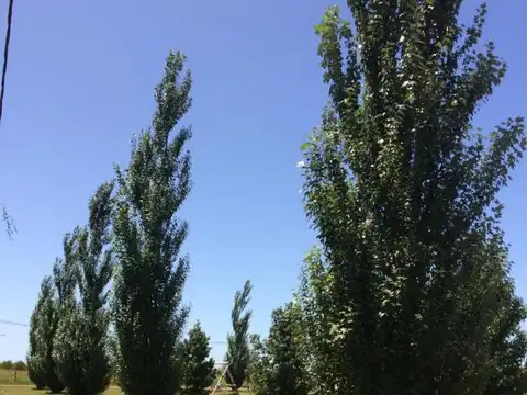 VENDE LOTES FINANCIADOS EN BARRIO DON HÉCTOR IBARLUCEA