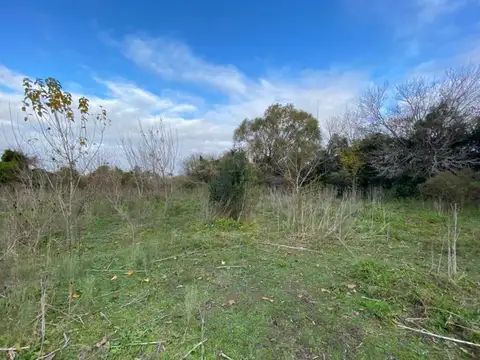 Terreno en Venta en Berisso, USD 115.000