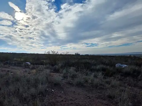 Terreno en Venta de 8127,0 m2