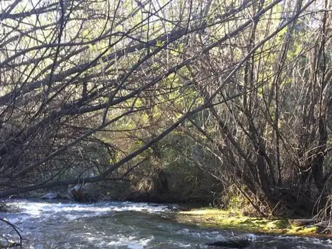 Venta 7.5 Hectáreas con construcción, ideal inversión