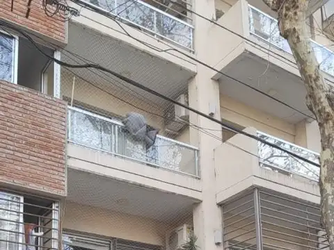 AZARA 100