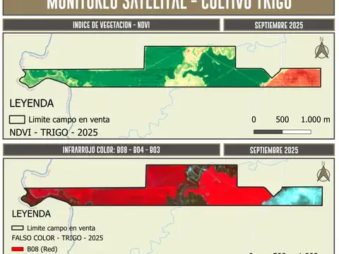 Campo en Venta de 221  ha