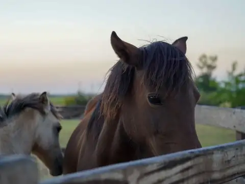 Terreno en Venta en Chacras de la Trinidad, USD 56.000