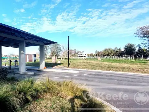 Excelente Lote fonde Verde Orientacion Norte en San Juan Chico - Posesión inmediata