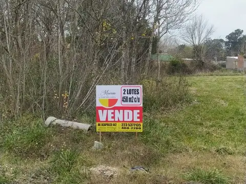 DOS LOTES EN MAR DE COBO