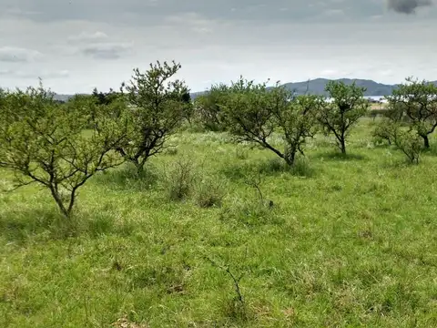 LOTE EN VENTA POTRERO DE GARAY