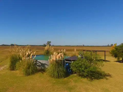campo en venta de 40 Ha San Antonio de Areco