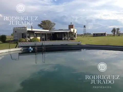 campo de 40 Ha San Antonio de Areco