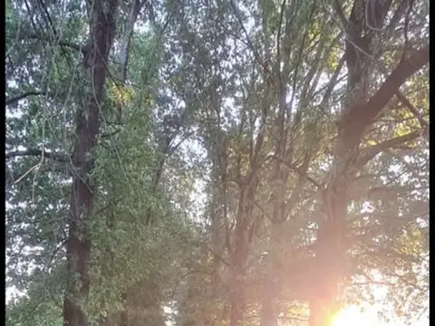 VENTA CHACRA EN PILAR. CON CASAS, GALPONES, PILETA