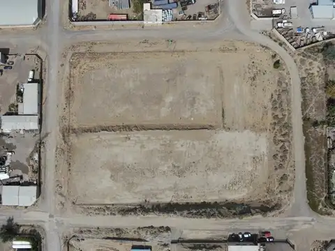 Jose Salso y Fernando peternoster 100