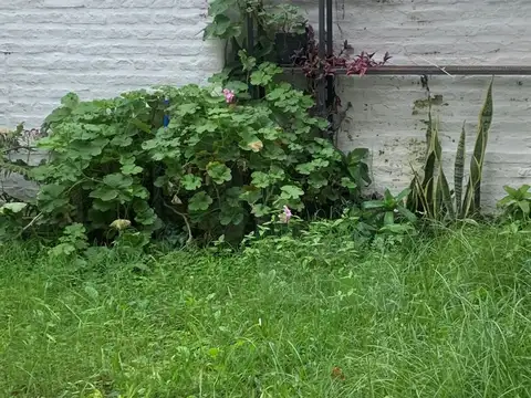 Depto Tipo Casa 2 ambientes con 1 baño