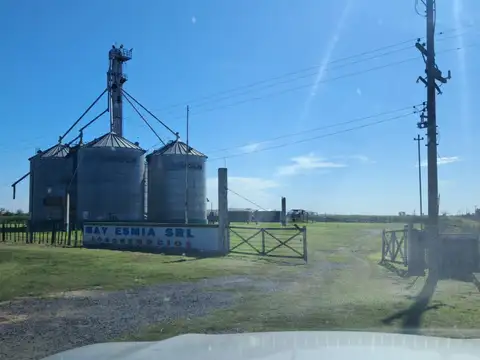 Planta silos acopio  cereal 2 Hectáreas